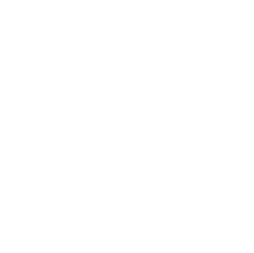 DAS Controller